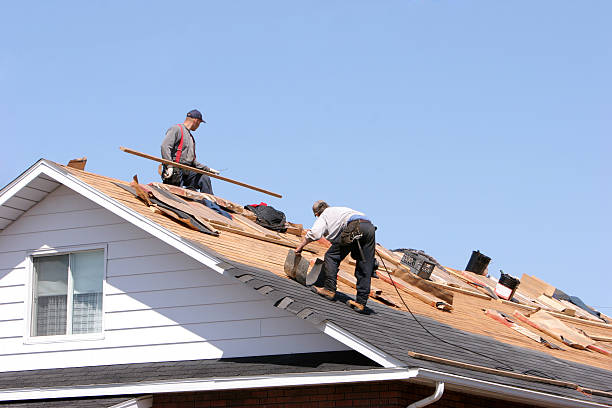 Best Asphalt Shingle Roofing  in Grove City, FL